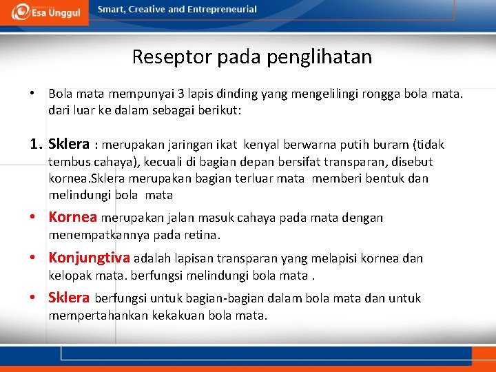 Reseptor pada penglihatan • Bola mata mempunyai 3 lapis dinding yang mengelilingi rongga bola