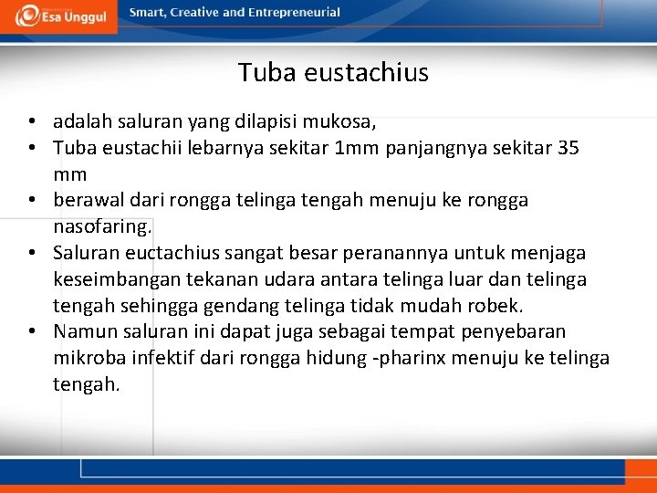 Tuba eustachius • adalah saluran yang dilapisi mukosa, • Tuba eustachii lebarnya sekitar 1