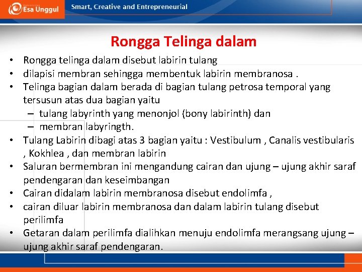 Rongga Telinga dalam • Rongga telinga dalam disebut labirin tulang • dilapisi membran sehingga