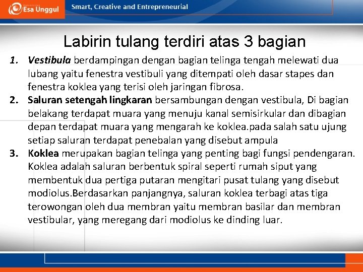 Labirin tulang terdiri atas 3 bagian 1. Vestibula berdampingan dengan bagian telinga tengah melewati