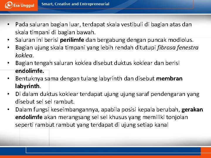  • Pada saluran bagian luar, terdapat skala vestibuli di bagian atas dan skala