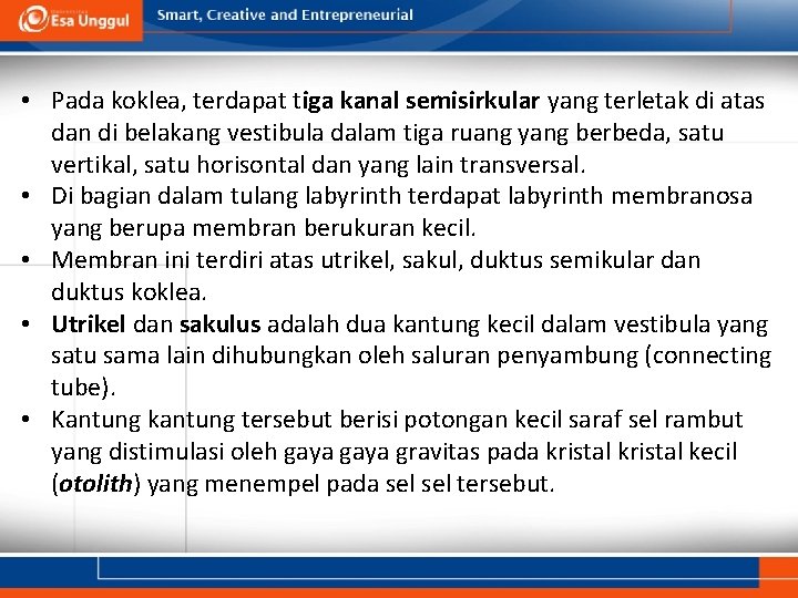  • Pada koklea, terdapat tiga kanal semisirkular yang terletak di atas dan di