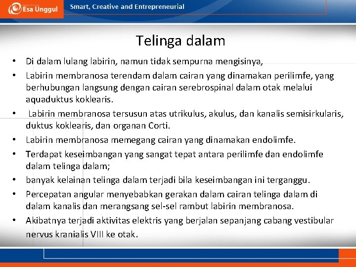 Telinga dalam • Di dalam lulang labirin, namun tidak sempurna mengisinya, • Labirin membranosa