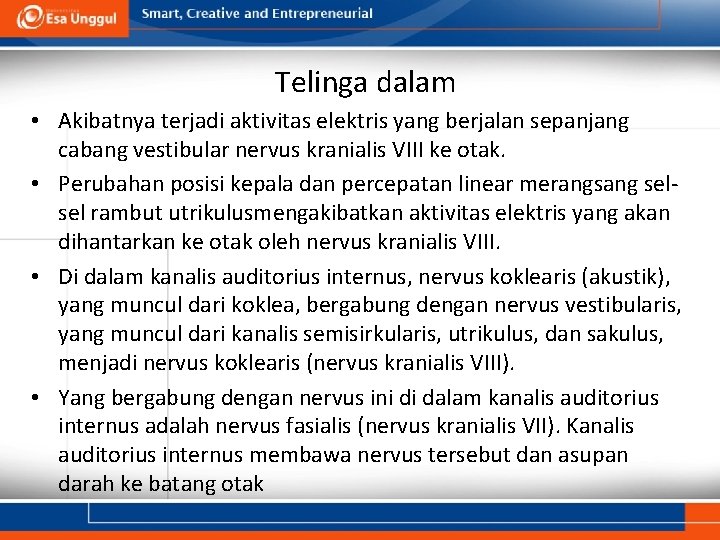 Telinga dalam • Akibatnya terjadi aktivitas elektris yang berjalan sepanjang cabang vestibular nervus kranialis