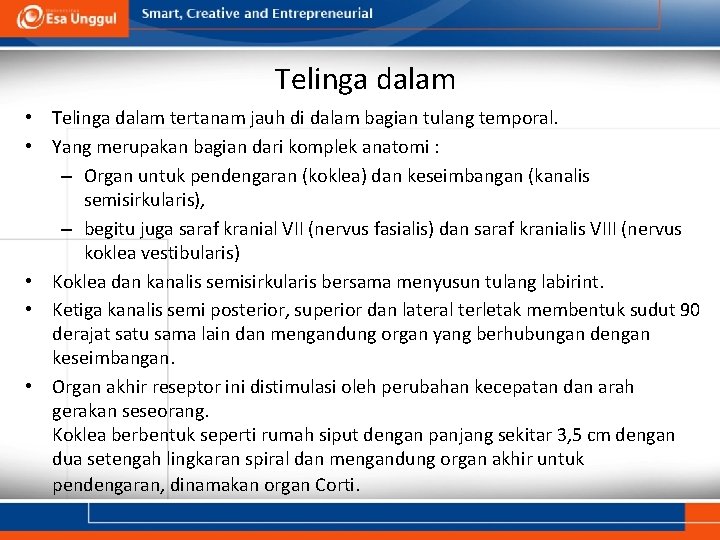 Telinga dalam • Telinga dalam tertanam jauh di dalam bagian tulang temporal. • Yang