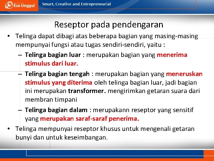 Reseptor pada pendengaran • Telinga dapat dibagi atas beberapa bagian yang masing-masing mempunyai fungsi