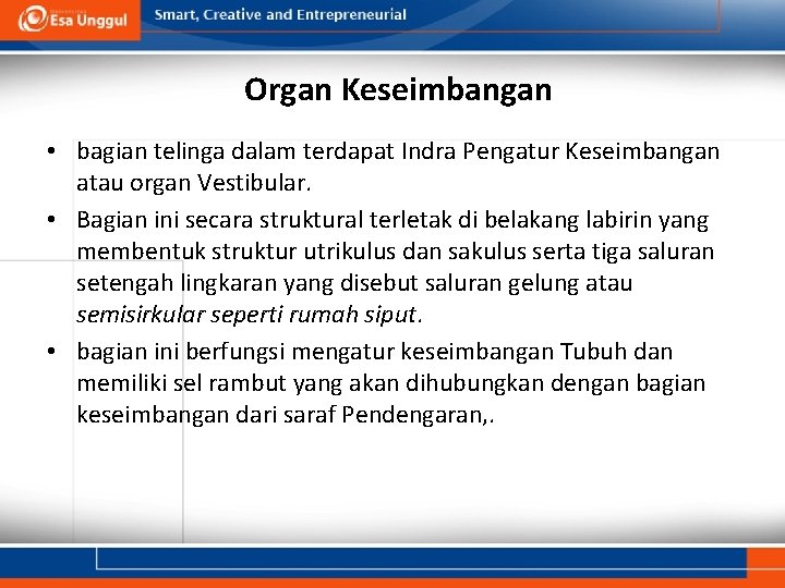 Organ Keseimbangan • bagian telinga dalam terdapat Indra Pengatur Keseimbangan atau organ Vestibular. •