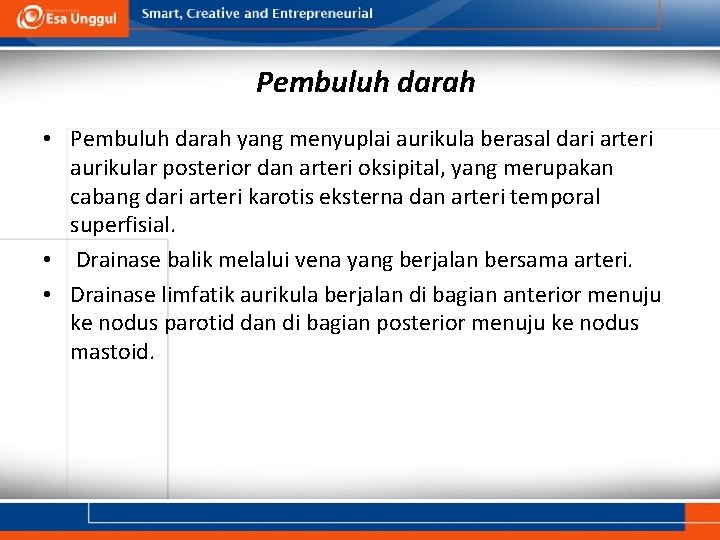 Pembuluh darah • Pembuluh darah yang menyuplai aurikula berasal dari arteri aurikular posterior dan