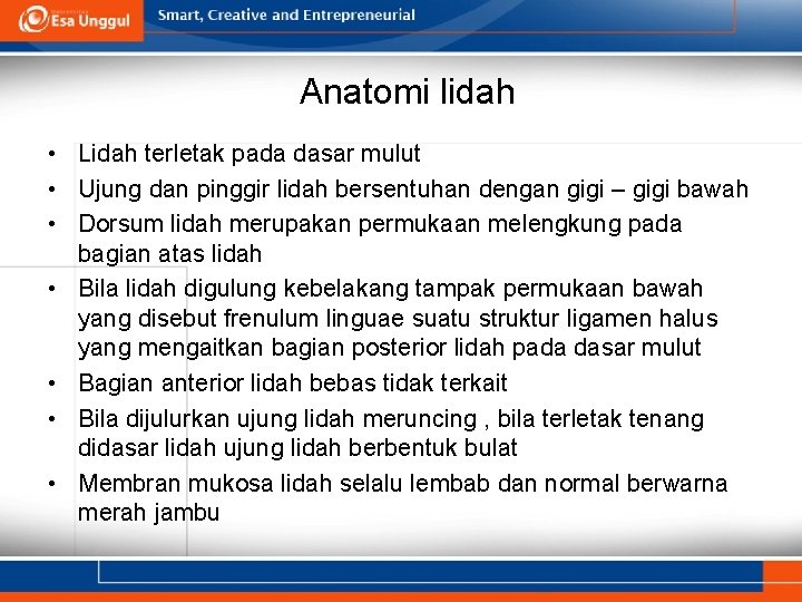 Anatomi lidah • Lidah terletak pada dasar mulut • Ujung dan pinggir lidah bersentuhan