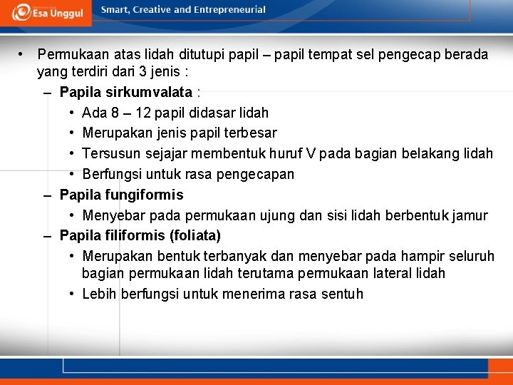  • Permukaan atas lidah ditutupi papil – papil tempat sel pengecap berada yang