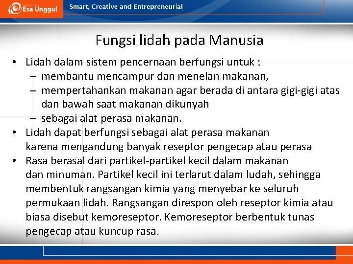 Fungsi lidah pada Manusia • Lidah dalam sistem pencernaan berfungsi untuk : – membantu