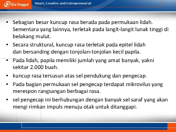  • Sebagian besar kuncup rasa berada permukaan lidah. Sementara yang lainnya, terletak pada