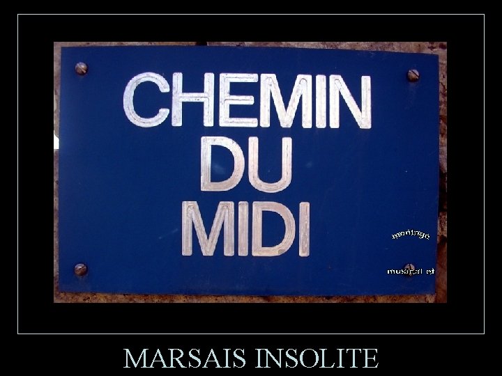 MARSAIS INSOLITE 