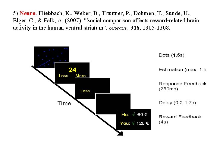 5) Neuro. Fließbach, K. , Weber, B. , Trautner, P. , Dohmen, T. ,