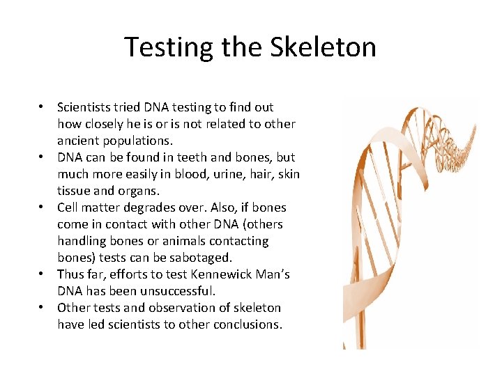 Testing the Skeleton • Scientists tried DNA testing to find out how closely he