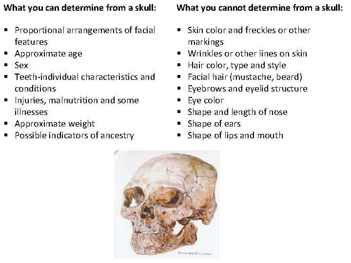 What you can determine from a skull: What you cannot determine from a skull: