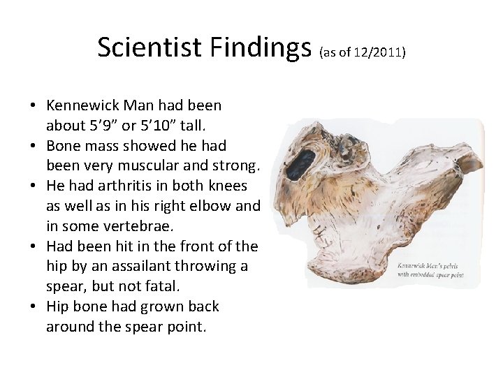 Scientist Findings (as of 12/2011) • Kennewick Man had been about 5’ 9” or