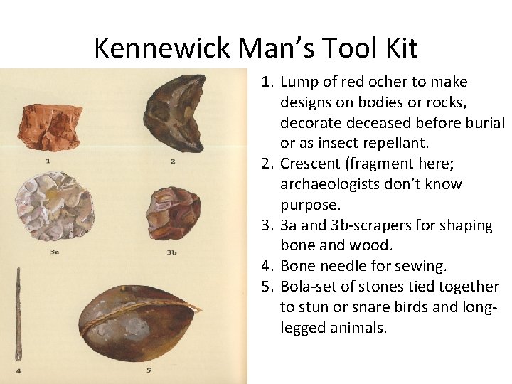 Kennewick Man’s Tool Kit 1. Lump of red ocher to make designs on bodies