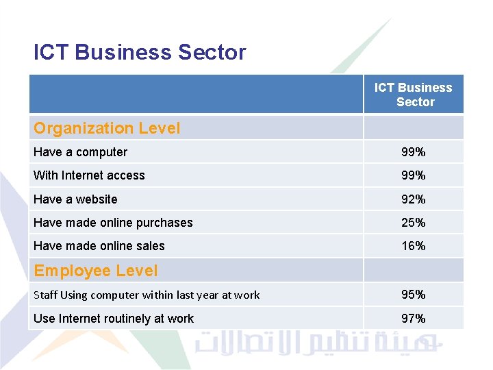 ICT Business Sector Organization Level Have a computer 99% With Internet access 99% Have
