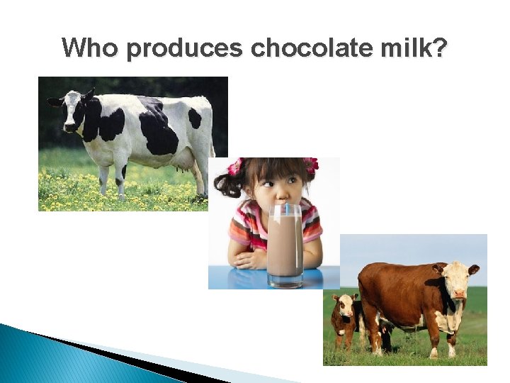 Who produces chocolate milk? 