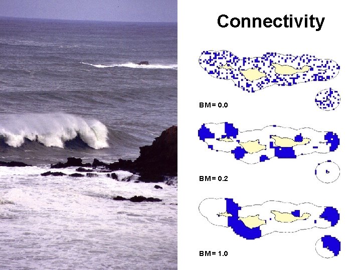 Connectivity BM = 0. 0 BM = 0. 2 BM = 1. 0 