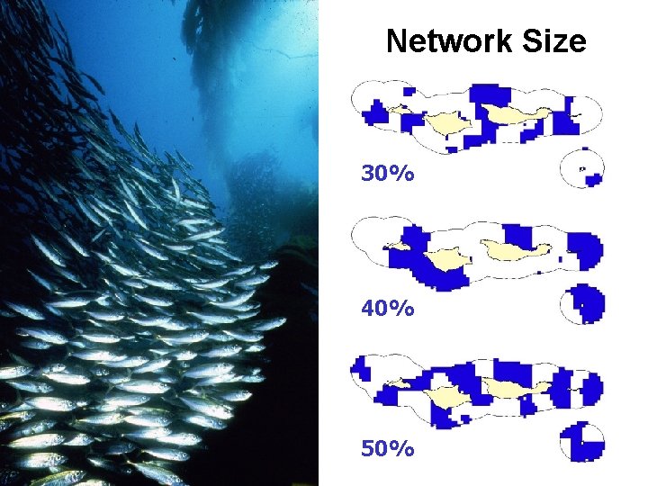 Network Size 30% 40% 50% 