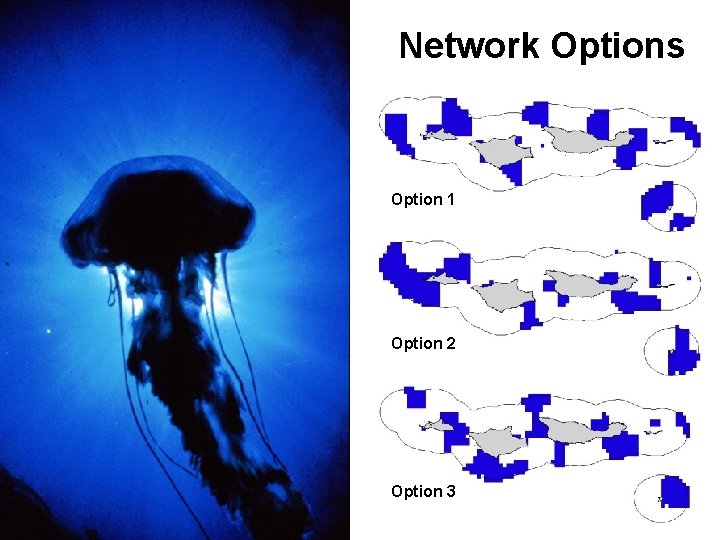 Network Options Option 1 Option 2 Option 3 