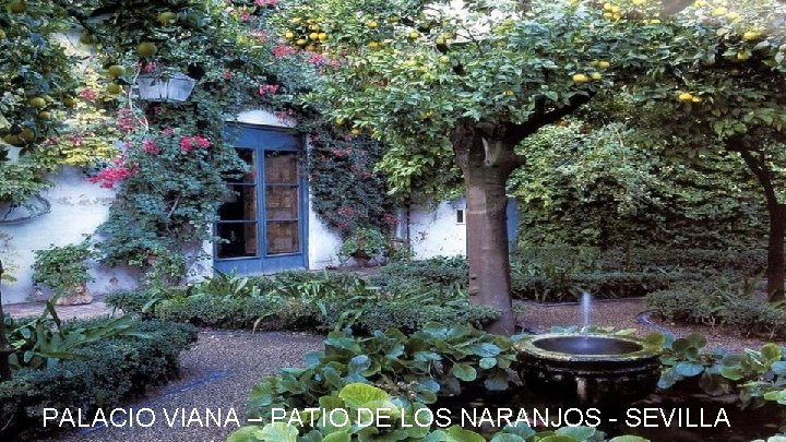 PALACIO VIANA – PATIO DE LOS NARANJOS - SEVILLA 