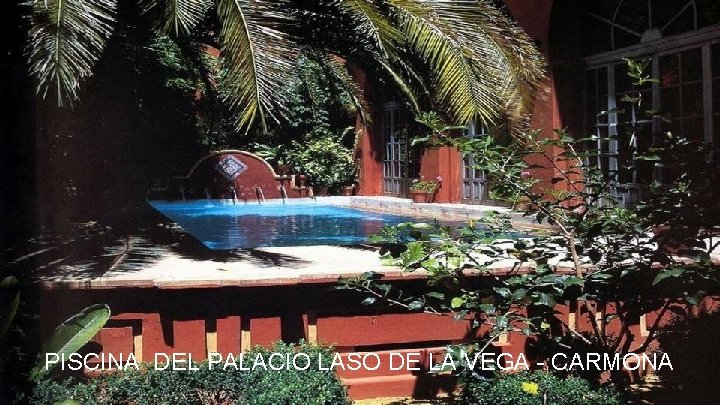 PISCINA DEL PALACIO LASO DE LA VEGA - CARMONA 