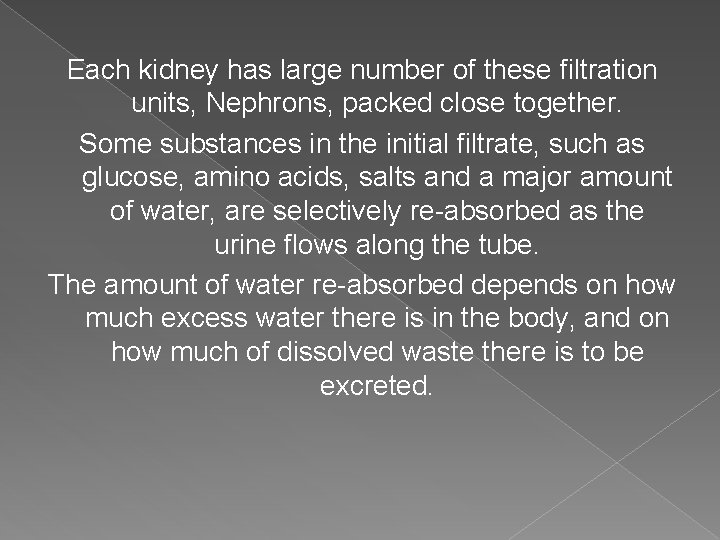 Each kidney has large number of these filtration units, Nephrons, packed close together. Some