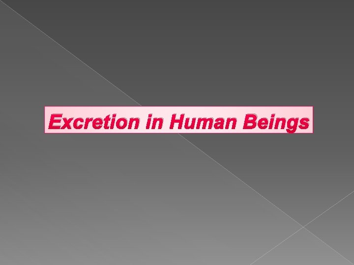 Excretion in Human Beings 