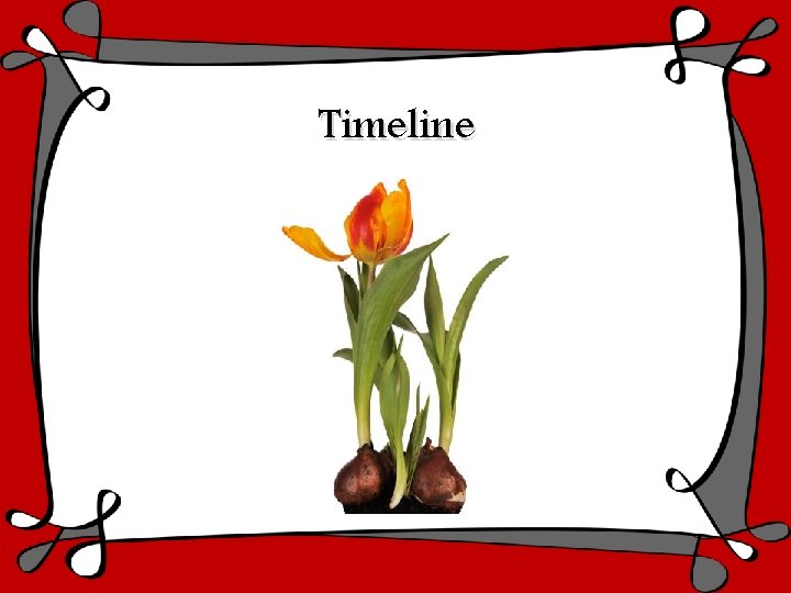 Activity Planning Committee Meetings: a series of six monthly meetings during the analysis phase,