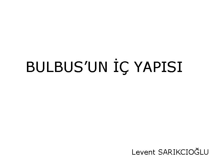 BULBUS’UN İÇ YAPISI Levent SARIKCIOĞLU 