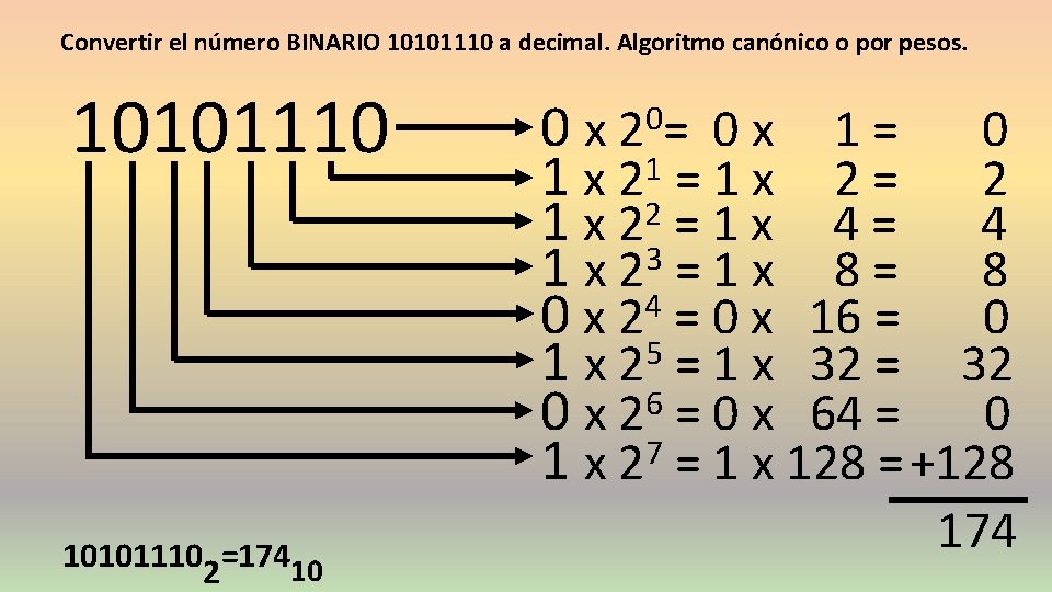 Convertir el número BINARIO 10101110 a decimal. Algoritmo canónico o por pesos. 101011102=17410 0