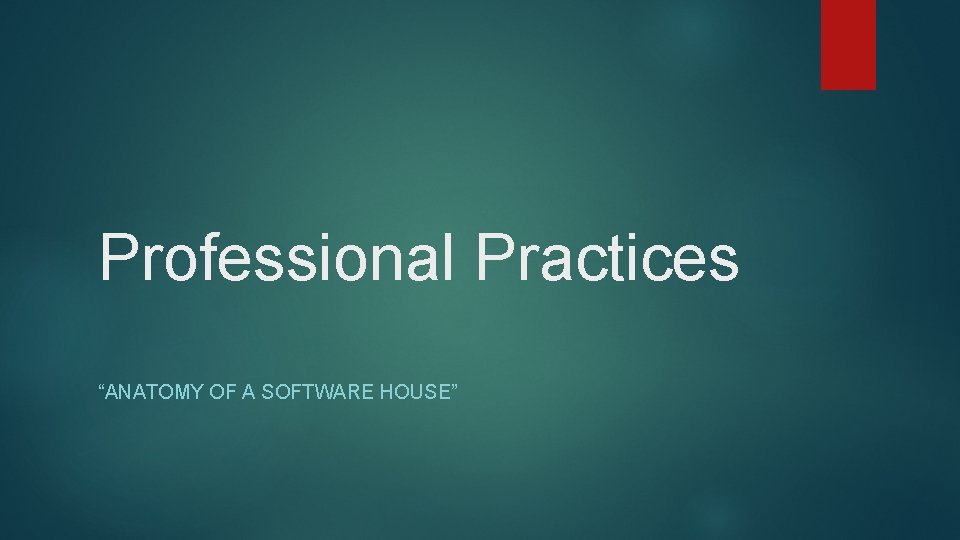 Professional Practices “ANATOMY OF A SOFTWARE HOUSE” Professional Practices “ANATOMY OF A SOFTWARE HOUSE”