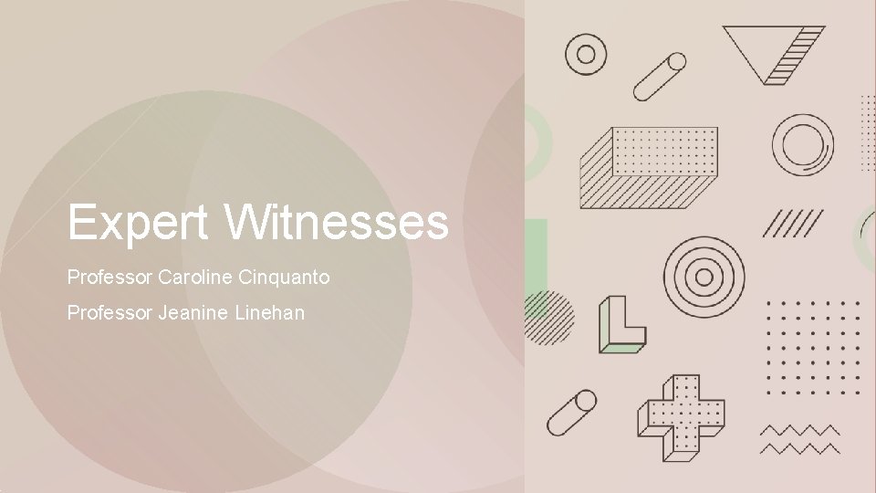 Expert Witnesses Professor Caroline Cinquanto Professor Jeanine Linehan 