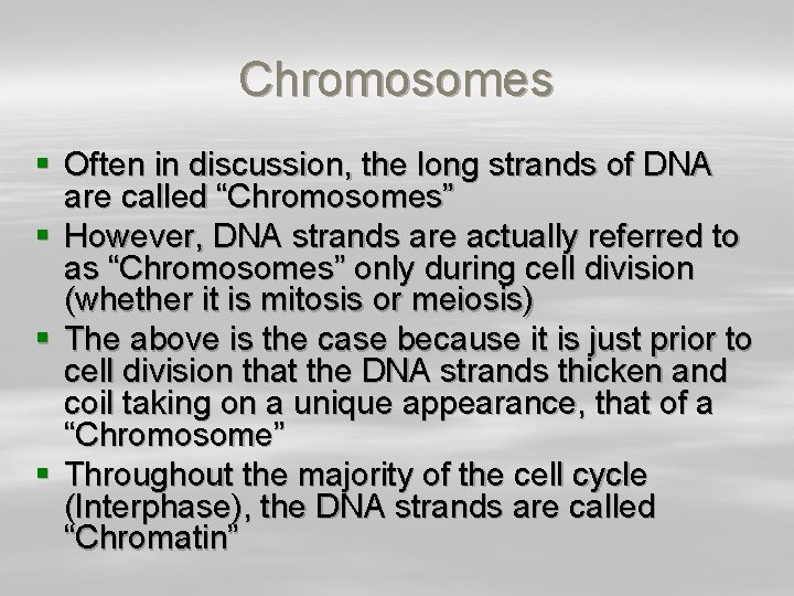 Chromosomes § Often in discussion, the long strands of DNA are called “Chromosomes” §