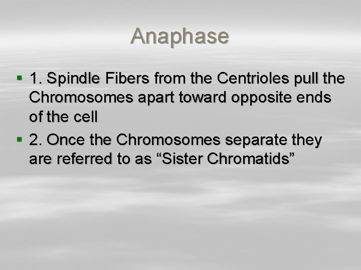 Anaphase § 1. Spindle Fibers from the Centrioles pull the Chromosomes apart toward opposite