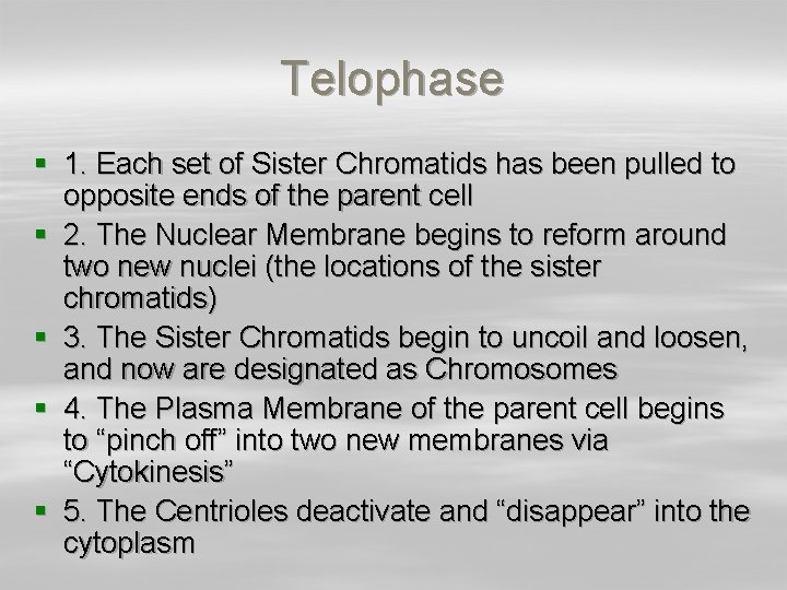 Telophase § 1. Each set of Sister Chromatids has been pulled to opposite ends