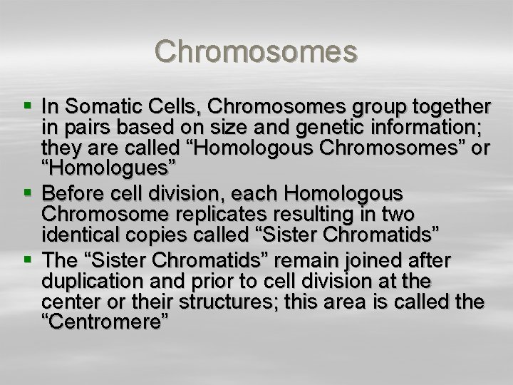 Chromosomes § In Somatic Cells, Chromosomes group together in pairs based on size and