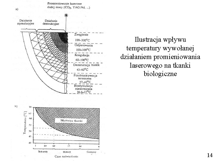 Ilustracja wpływu temperatury wywołanej działaniem promieniowania laserowego na tkanki biologiczne 14 