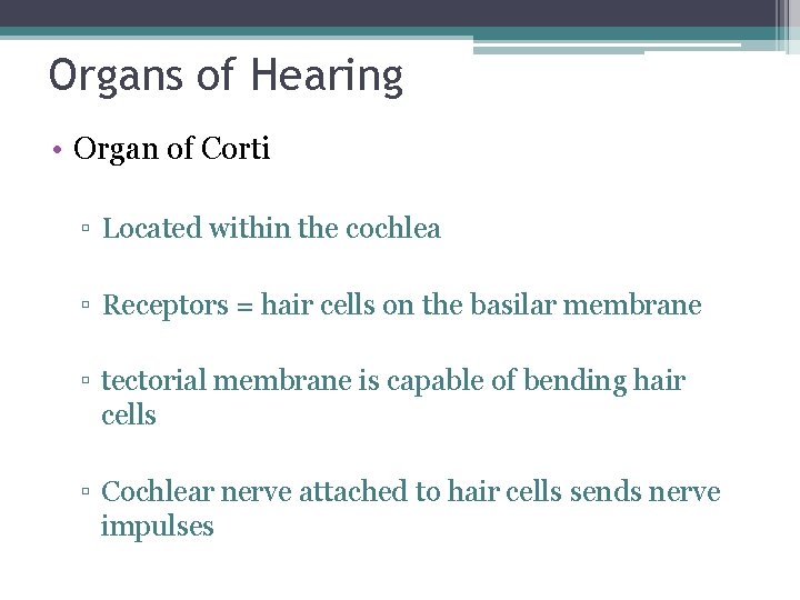Organs of Hearing • Organ of Corti ▫ Located within the cochlea ▫ Receptors