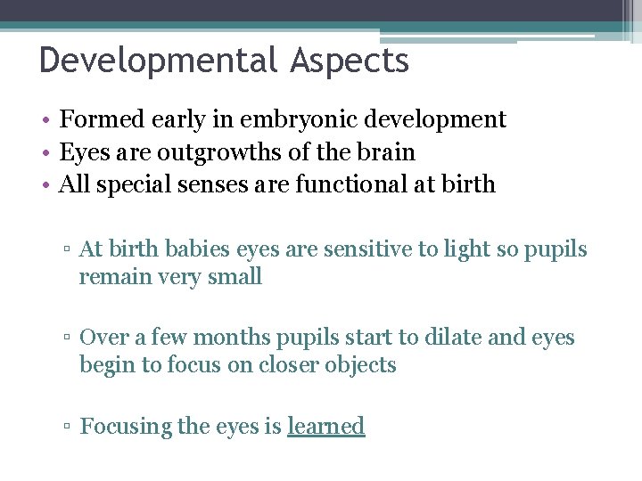 Developmental Aspects • Formed early in embryonic development • Eyes are outgrowths of the