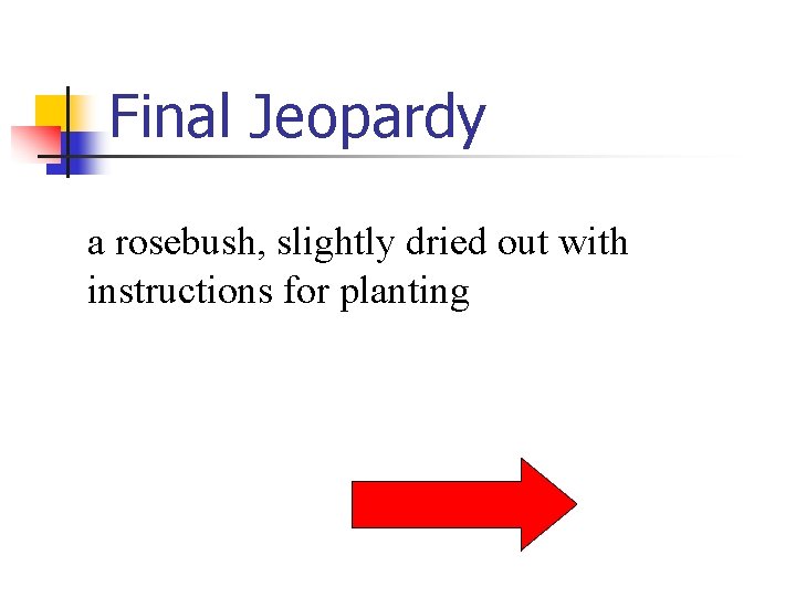 Final Jeopardy a rosebush, slightly dried out with instructions for planting 