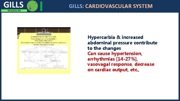 I GILLS: CARDIOVASCULAR SYSTEM Hypercarbia & increased abdominal pressure contribute to the changes Can