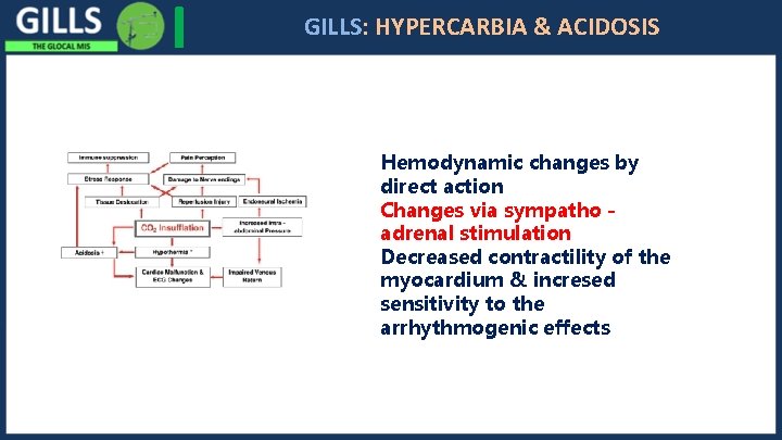 I GILLS: HYPERCARBIA & ACIDOSIS Hemodynamic changes by direct action Changes via sympatho adrenal