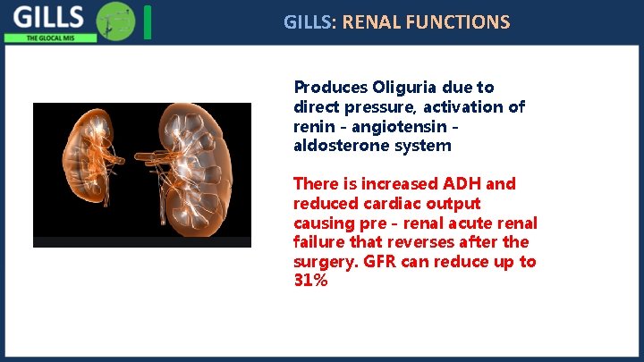 I GILLS: RENAL FUNCTIONS Produces Oliguria due to direct pressure, activation of renin -