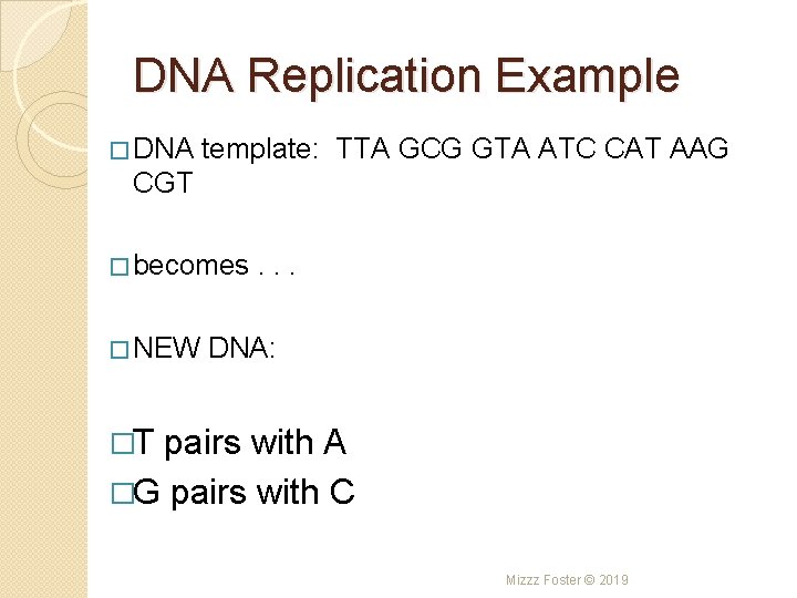 DNA Replication Example � DNA template: TTA GCG GTA ATC CAT AAG CGT �