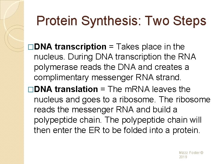 Protein Synthesis: Two Steps �DNA transcription = Takes place in the nucleus. During DNA Protein Synthesis: Two Steps �DNA transcription = Takes place in the nucleus. During DNA