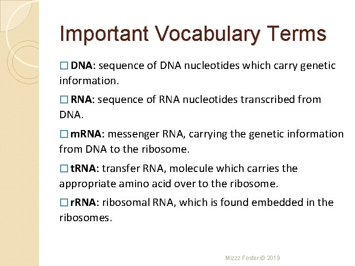 Important Vocabulary Terms � DNA: sequence of DNA nucleotides which carry genetic information. � Important Vocabulary Terms � DNA: sequence of DNA nucleotides which carry genetic information. �